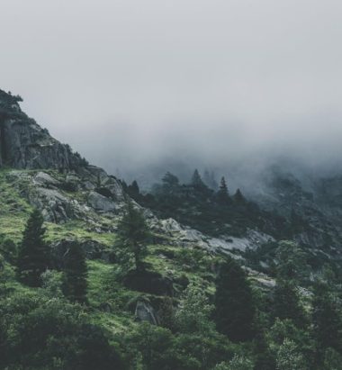 Responsabilidad ambiental como estándar, no como opción